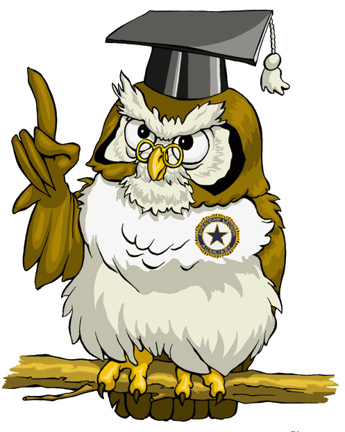 wise-old-owl